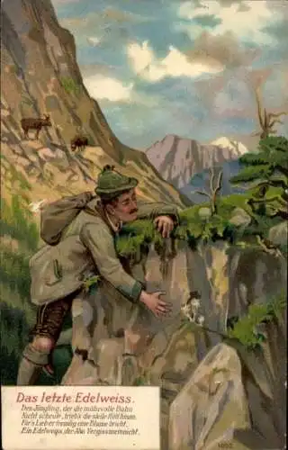 Ak Alpenland, Das letzte Edelweiß, Ein Mann in Tracht klettert an einem Berg