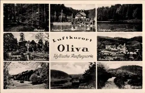 Ak Oliva Gdańsk Danzig, Elfengrund, Freudenthal, Strauchmühle
