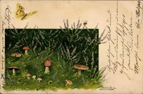 Künstler Litho Mailick, Pilze, Schmetterling