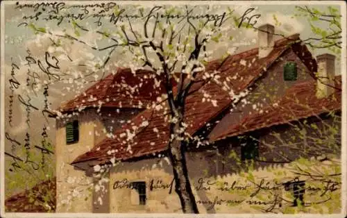 Ak Wohnhaus, Blühender Baum