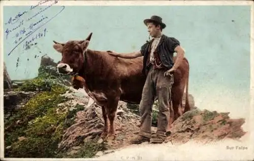 Ak Sur l'alpe, Kuh