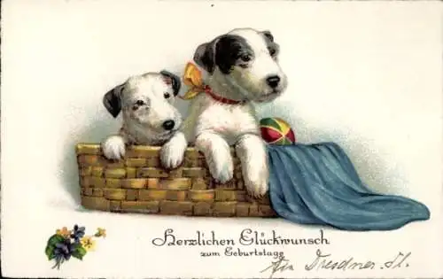 Ak Glückwunsch zum Geburtstag, Zwei Hunde in einem Korb