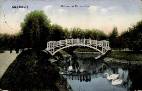 Ak Magdeburg an der Elbe, Brücke zur Marieninsel, Schwäne