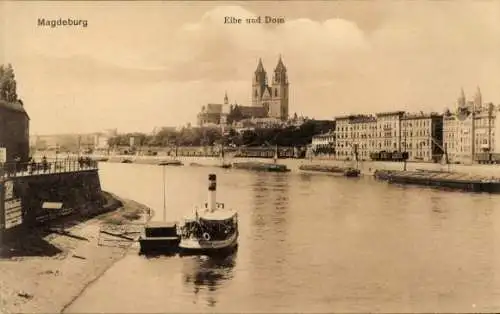 Ak Magdeburg in Sachsen Anhalt, Elbe, Dampfboot, Dom
