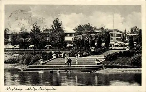 Ak Magdeburg an der Elbe, Adolf Mittag-See, Schwan, Enten