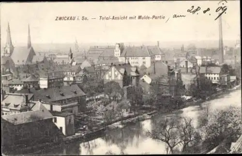 Ak Zwickau in Sachsen, Totalansicht, Mulde