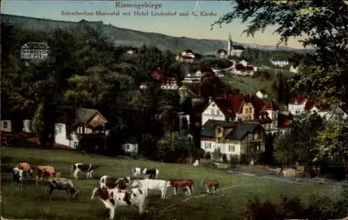 Ak Szklarska Poręba Schreiberhau Riesengebirge, Neue schlesische Baude, Landschaft mit Kühen, ...