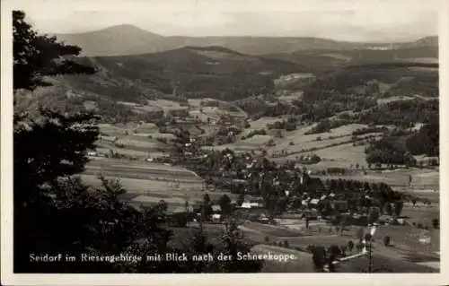 Ak Sosnówka Seidorf Podgórzyn Giersdorf Riesengebirge Schlesien, Landschaftsansicht, Dorf, Ber...