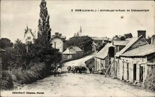 Ak Sion les Mines Loire Atlantique, Landschaft mit Straße, Kühe, Bäume, Gebäude im Hintergrund