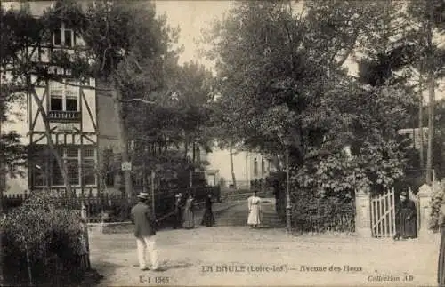 CPA La Baule Loire Atlantique, Avenue des Houx