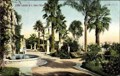 Ak Lisboa Lissabon Portugal, Jardin de S. Pedro d'Alcan, Palmen, Brunnen, Gartenansicht, skulptur
