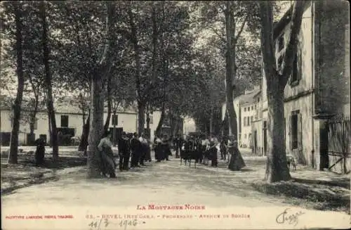 Ak Revel Haute-Garonne, Promenade Avenue de Sorèze, Bäume, Menschen im Park,  