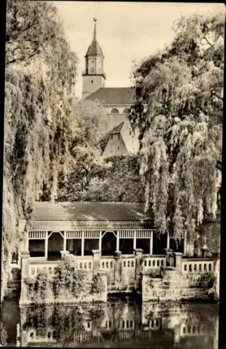 Ak Bischofswerda in Sachsen, Mühlteich, Kirche im Hintergrund, alte Architektur, Natur,  Fotograf