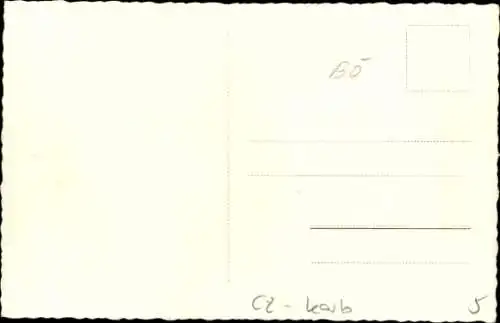 Foto Ak Cheb Eger Reg. Karlsbad, Marktplatz, Hund, Geschäfte