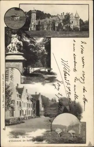 Ak Torcy Seine et Marne, Chateau de torcy d'Hebrard, Denkmal, Sträuße