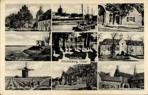 Ak Mühlberg an der Elbe, Bildliche Darstellung von Mühlberg, Strandhäuser, Enten, Kriegerdenkmal
