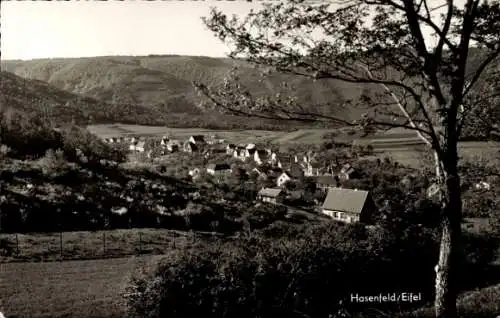 Ak Hasenfeld Heimbach in der Eifel, Gesamtansicht