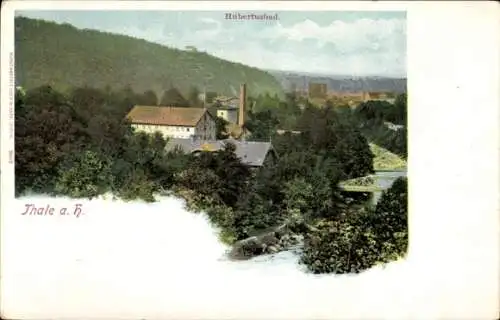 Ak Thale im Harz, Hubertusbad, Landschaft, Gebäude, Fluss, Bäume