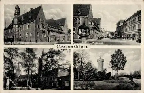 Ak Aschersleben im Salzlandkreis, Rathaus, Markt, Johannispromenade, Westdorfer Warte