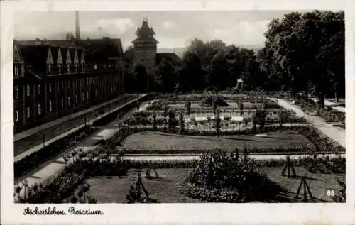 Ak Aschersleben im Salzlandkreis, Rosarium, Garten mit Blumenrabatten,  Bauten, Stadtansicht