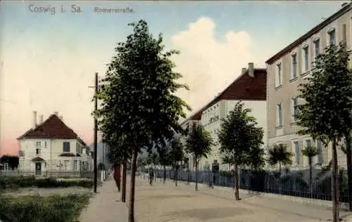 Ak Coswig in Sachsen, Friedliche Straße mit Bäumen, Wohngebäude, Romerstraße