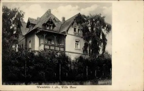 Ak Weinböhla in Sachsen, Villa Rosa, große Villa, umgeben von Bäumen