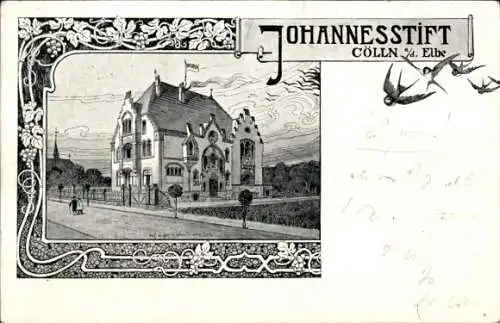 Ak Cölln an der Elbe Meißen Sachsen, Johannesstift, Gebäude, Himmel, Vögel, Stadtillustration