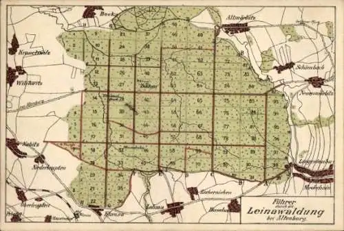 Landkarten Ak Altenburg in Thüringen, Leinawaldung