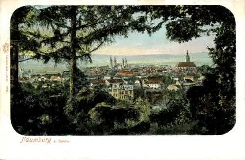 Ak Naumburg an der Saale, Panoramablick auf Naumburg, Kirche, Stadtansicht, Natur