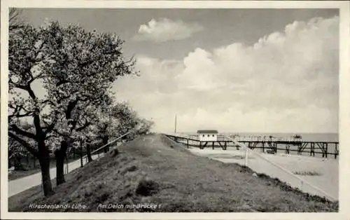 Ak Lühe Jork im Alten Land, Landschaft, Deich, Brücke, Kirschenbäume