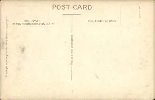 Ak Aden Jemen, Group of Camels, Kamele