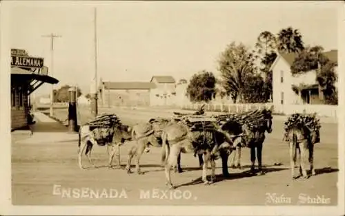 Ak Mexiko, Esel, Transport, Holz, Straße