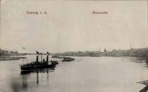 Ak Coswig in Anhalt, Elbe, Dampfer
