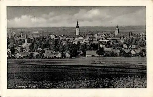 Ak Strzelin Strehlen Schlesien, Panorama