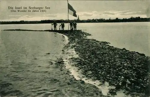 Ak Seeburg im Eichsfeld Niedersachsen, Insel im Seeburger See, Wunder im Jahre 1911