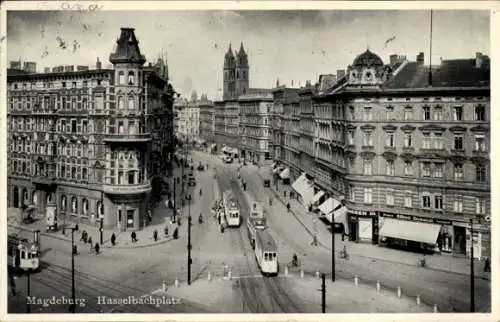 Ak Magdeburg an der Elbe, Hasselbachplatz, Straßenbahnen