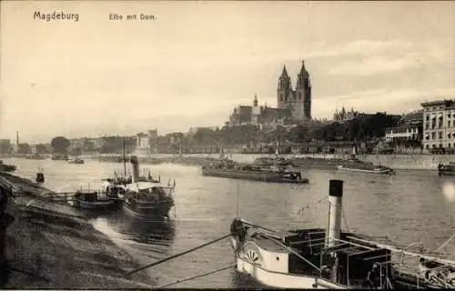 Ak Magdeburg an der Elbe, Elbe, Dom, Dampfschiffe