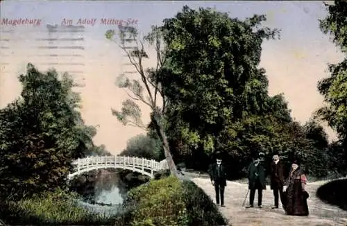 Ak Magdeburg an der Elbe, Adolf-Mittag-See, Brücke