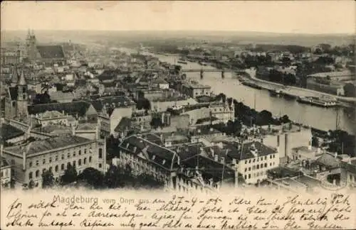 Ak Magdeburg an der Elbe, Gesamtansicht, vom Dom gesehen