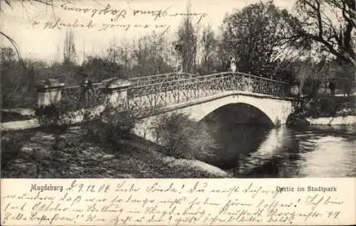 Ak Magdeburg an der Elbe, Stadtpark, Brücke