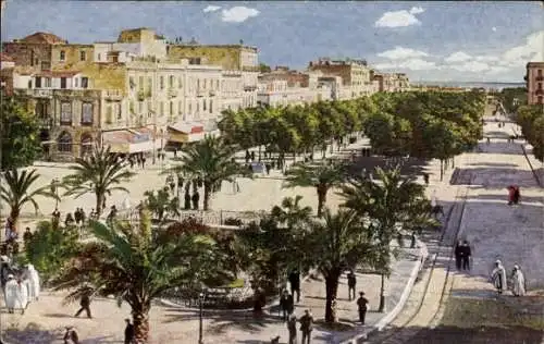 Ak Tunis Tunesien, Marinestraße, Avenue de la Marine, Palmen, Gebäude