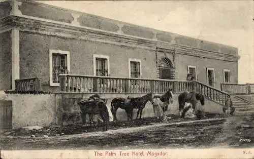 Ak Mogador Marokko, Palm Tree Hotel