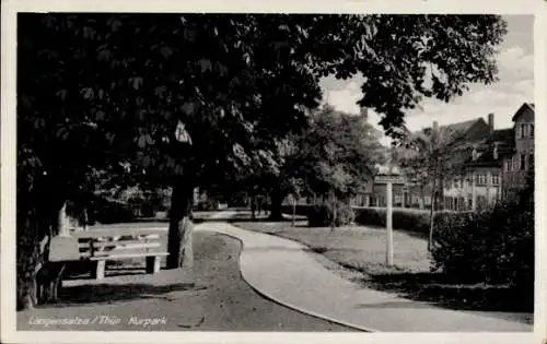 Ak Bad Langensalza in Thüringen, Kurpark, Spazierweg, Bäume, Häuser, Bank, Landschaft