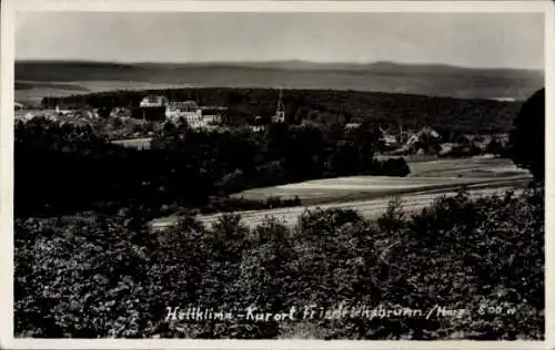 Ak Friedrichsbrunn Thale im Harz, Panorama