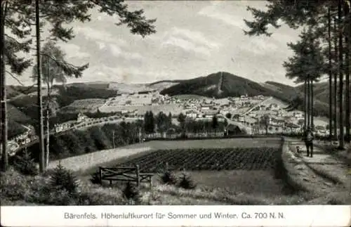 Ak Bärenfels Altenberg im Erzgebirge, Panorama vom Ort