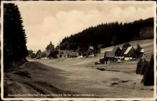 Ak Kratzhammer Altenberg im Erzgebirge, Höhenluftkurort Rehefeld, Tal der wilden Weisseritz, 750m
