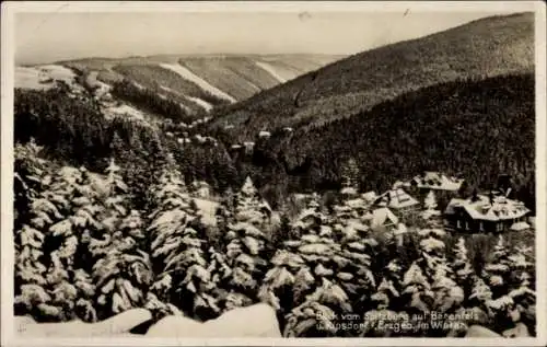 Ak Kipsdorf Altenberg im Erzgebirge, Winterlandschaft, Blick auf Barenfels, Schneebedeckte Bäume,