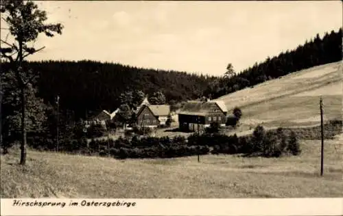 Ak Hirschsprung Altenberg Erzgebirge, Hirschsprung, ländliche Landschaft,Wald, Wiesen,  Gebäude, 