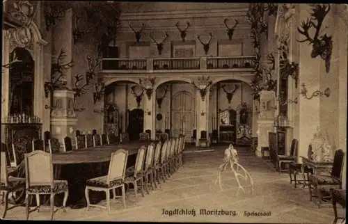 Ak Moritzburg in Sachsen, Großer Speisesaal, Jagdschloss, stilvolle Einrichtung, Geweihe