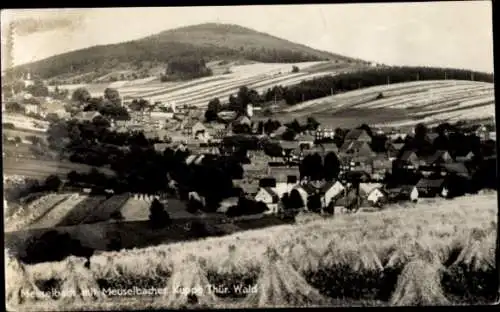 Ak Thüringer Wald, Hohe Möst, Landschaft mit Meselbach, Felder und Berge in Thüringen